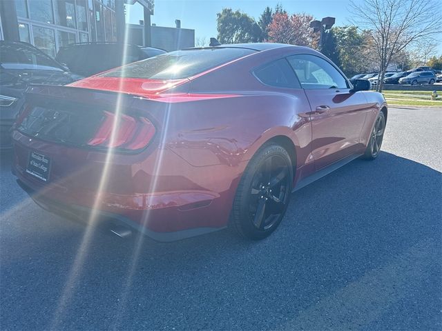 2021 Ford Mustang EcoBoost