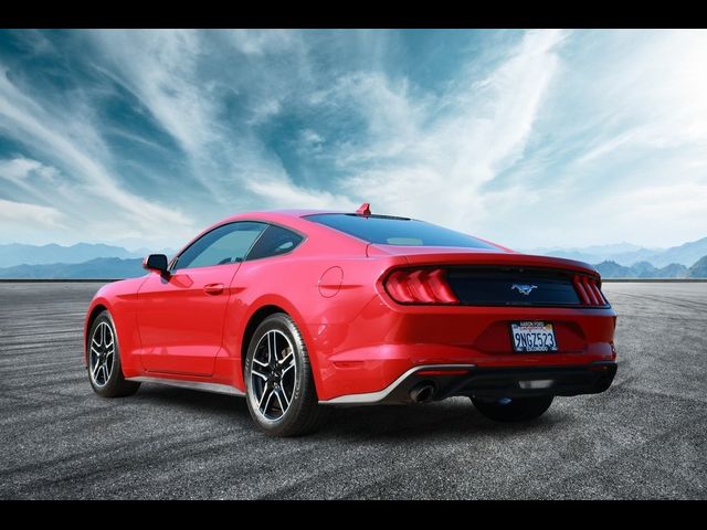 2021 Ford Mustang EcoBoost