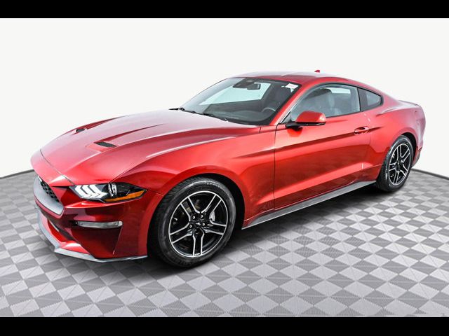 2021 Ford Mustang EcoBoost