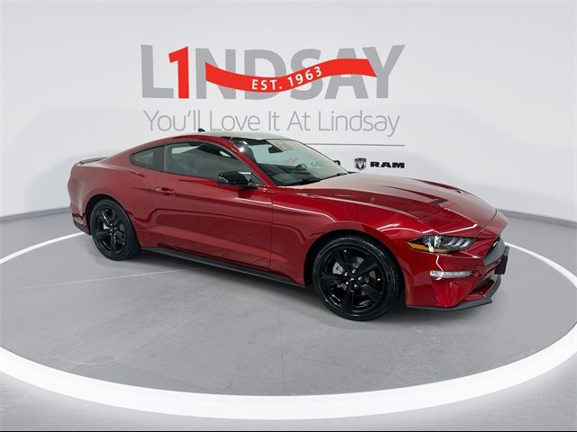 2021 Ford Mustang EcoBoost