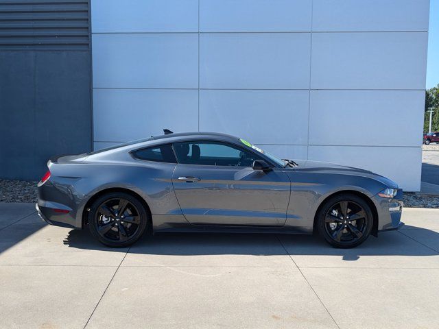 2021 Ford Mustang EcoBoost