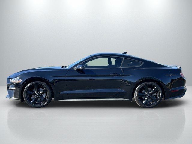 2021 Ford Mustang EcoBoost