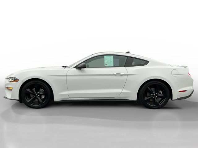 2021 Ford Mustang EcoBoost