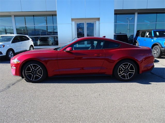 2021 Ford Mustang EcoBoost