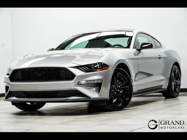 2021 Ford Mustang EcoBoost