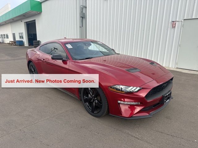 2021 Ford Mustang EcoBoost