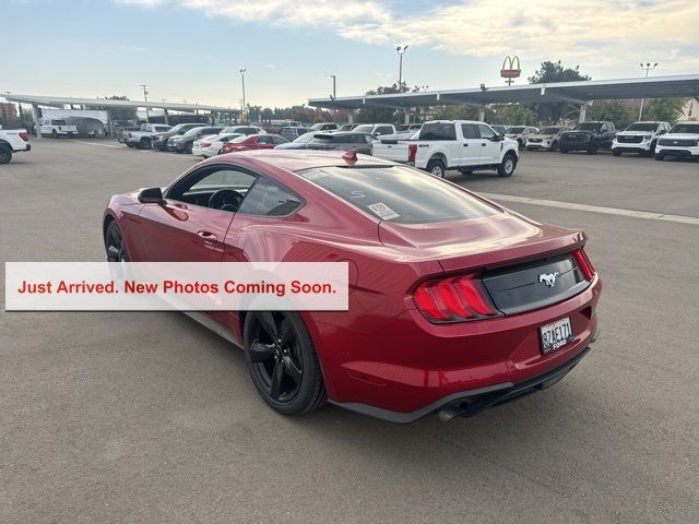 2021 Ford Mustang EcoBoost