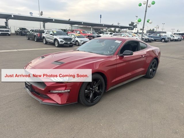 2021 Ford Mustang EcoBoost