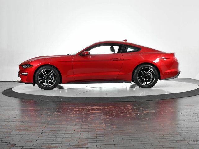 2021 Ford Mustang EcoBoost