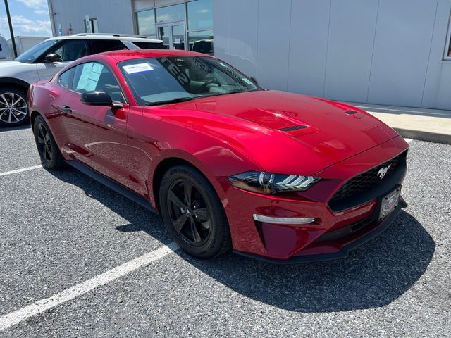 2021 Ford Mustang EcoBoost