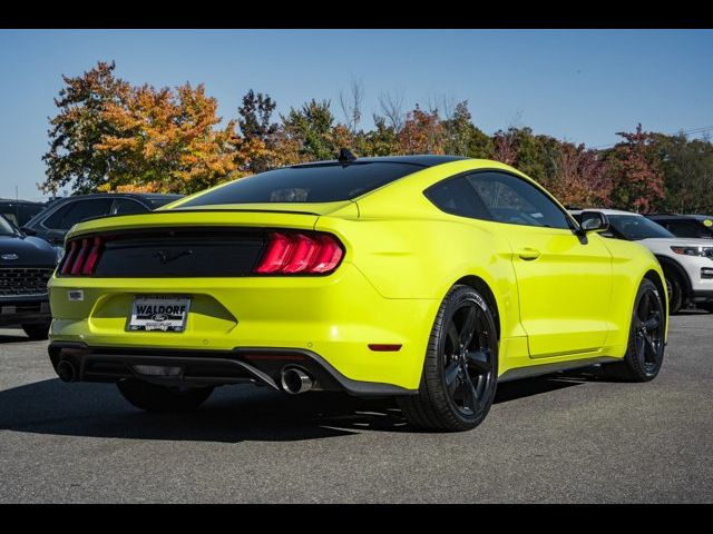 2021 Ford Mustang EcoBoost