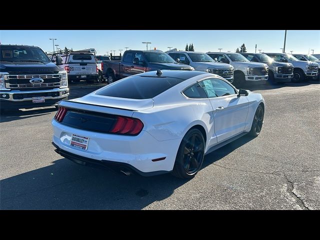 2021 Ford Mustang EcoBoost