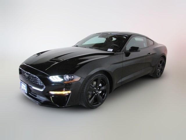 2021 Ford Mustang EcoBoost