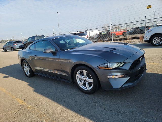 2021 Ford Mustang EcoBoost