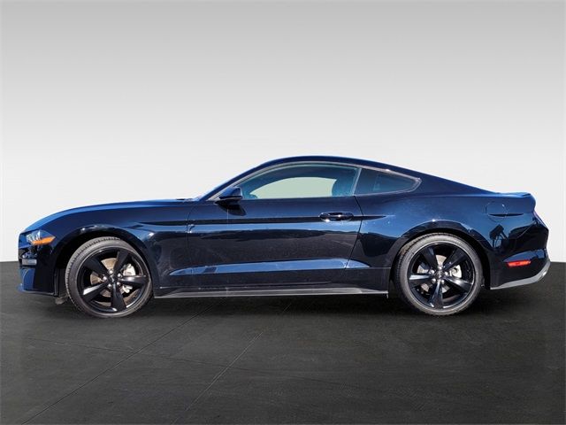 2021 Ford Mustang EcoBoost