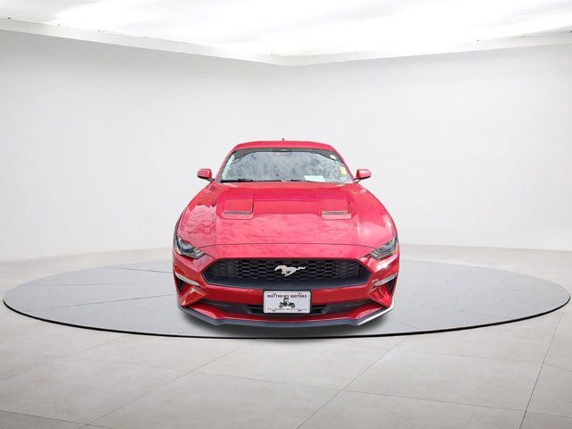 2021 Ford Mustang EcoBoost