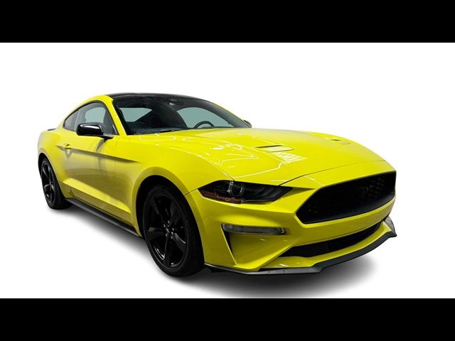 2021 Ford Mustang EcoBoost