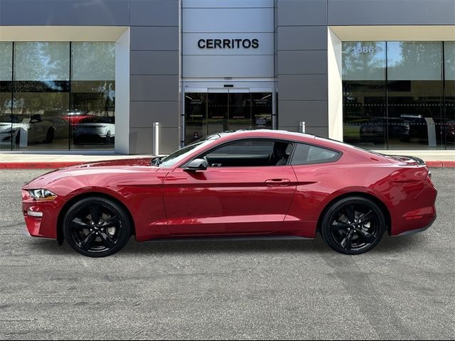 2021 Ford Mustang EcoBoost