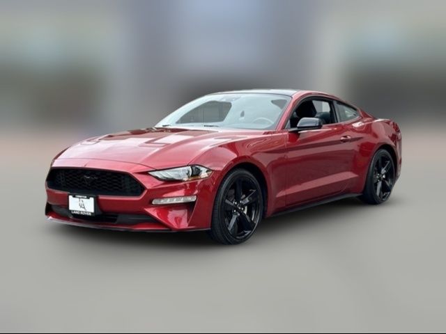 2021 Ford Mustang EcoBoost