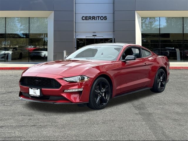 2021 Ford Mustang EcoBoost