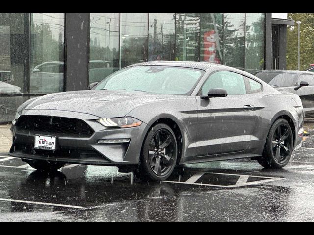 2021 Ford Mustang EcoBoost