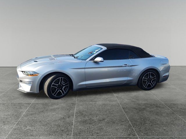 2021 Ford Mustang EcoBoost