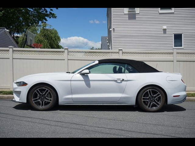 2021 Ford Mustang EcoBoost