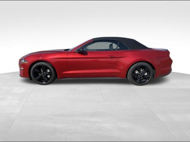 2021 Ford Mustang EcoBoost