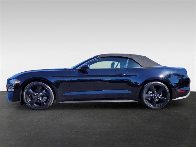 2021 Ford Mustang EcoBoost