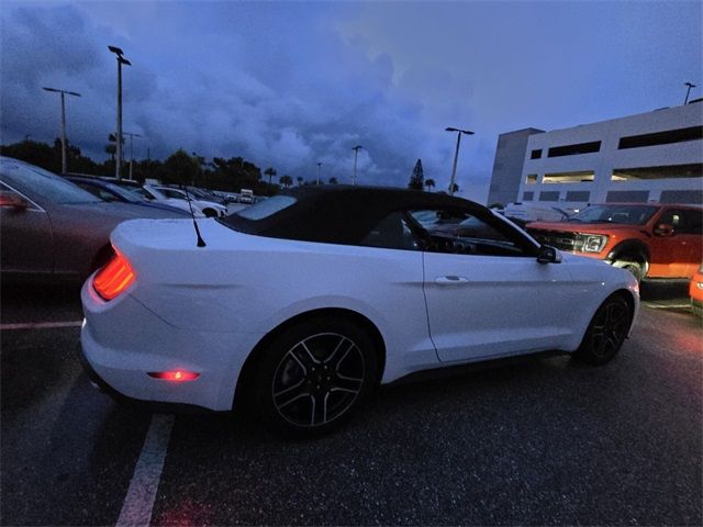 2021 Ford Mustang 