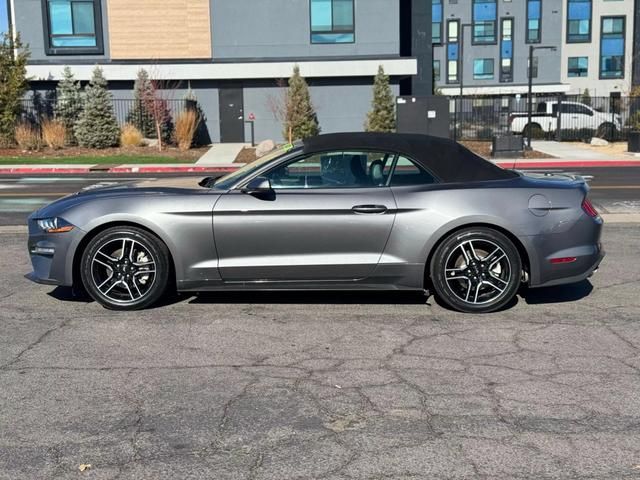 2021 Ford Mustang EcoBoost