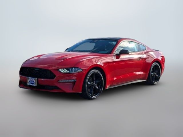 2021 Ford Mustang EcoBoost