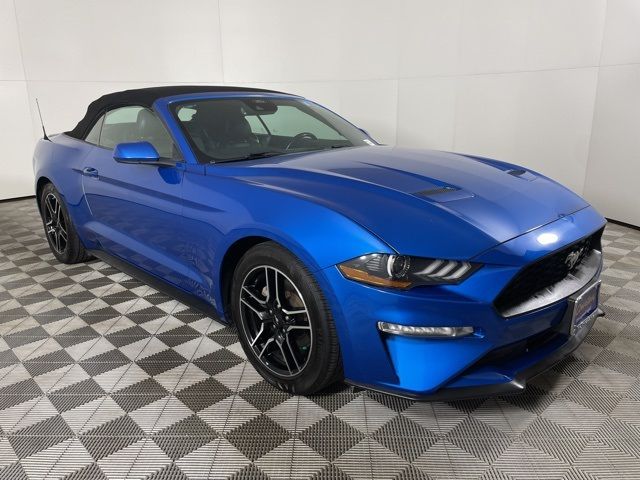 2021 Ford Mustang EcoBoost