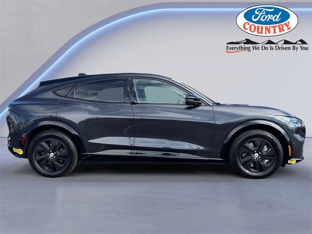 2021 Ford Mustang Mach-E California Route 1