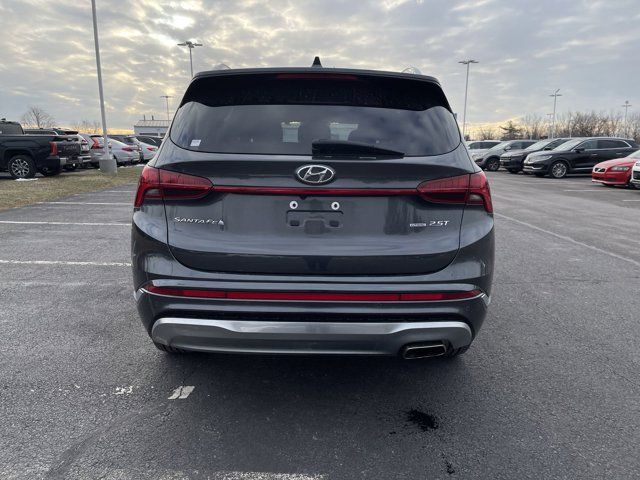 2021 Hyundai Santa Fe Calligraphy