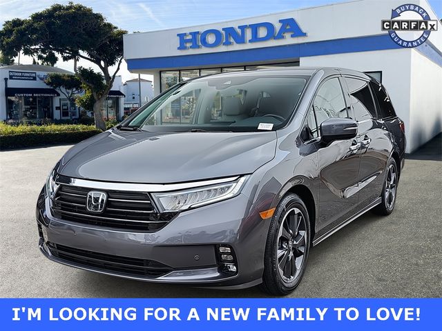 2021 Honda Odyssey Elite