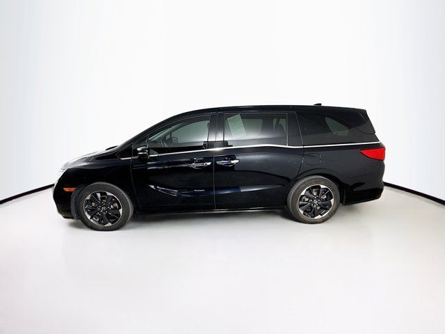 2021 Honda Odyssey Elite