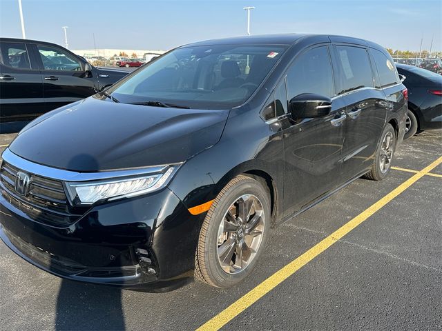 2021 Honda Odyssey Elite