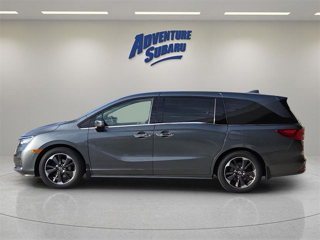 2021 Honda Odyssey Elite