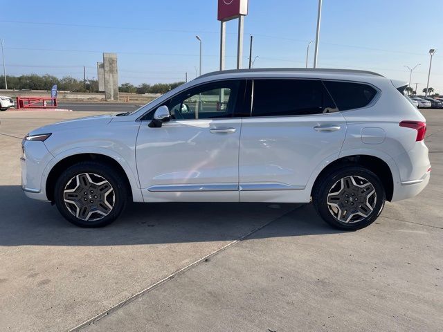 2021 Hyundai Santa Fe Calligraphy