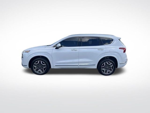 2021 Hyundai Santa Fe Calligraphy