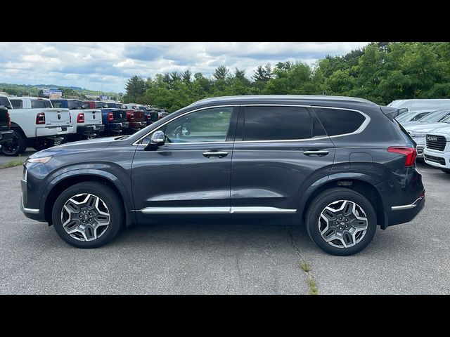 2021 Hyundai Santa Fe Calligraphy