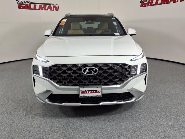 2021 Hyundai Santa Fe Calligraphy