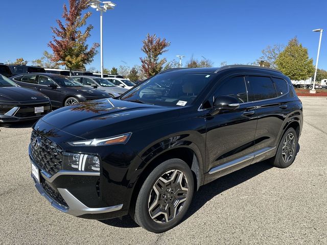 2021 Hyundai Santa Fe Calligraphy