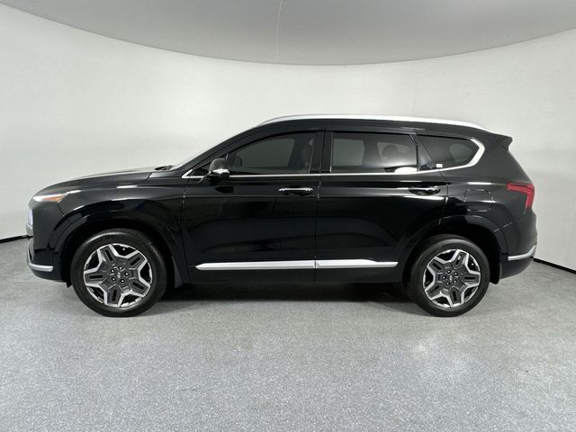 2021 Hyundai Santa Fe Calligraphy