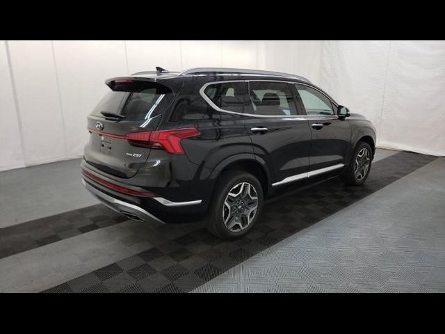 2021 Hyundai Santa Fe Calligraphy