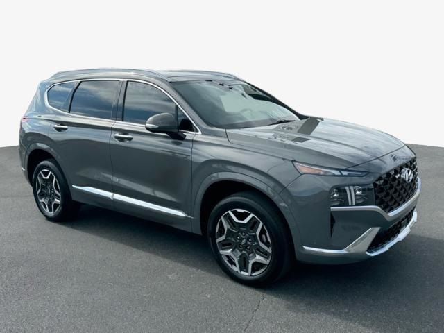 2021 Hyundai Santa Fe Calligraphy