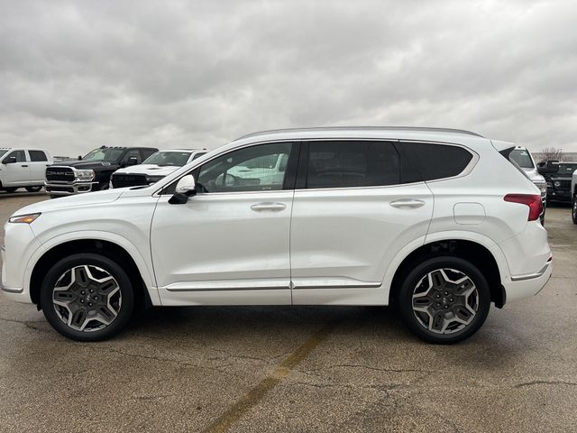 2021 Hyundai Santa Fe Calligraphy