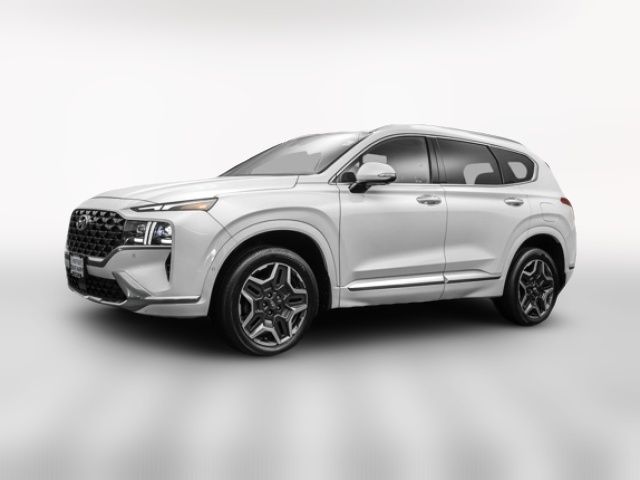 2021 Hyundai Santa Fe Calligraphy