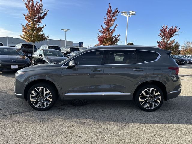 2021 Hyundai Santa Fe Calligraphy